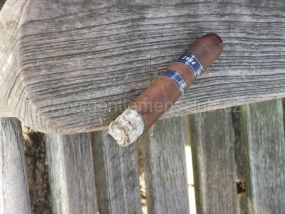 Pleiades XX Anniversary Robusto