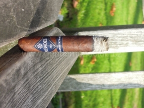 Pleiades XX Anniversary Robusto