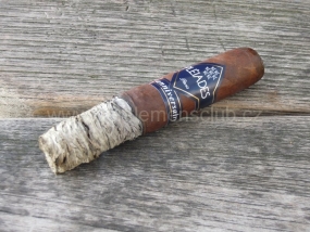 Pleiades XX Anniversary Robusto