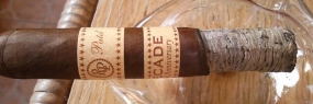 Rocky Patel Decade Robusto