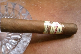 Te-Amo World Selection Series Robusto Dominicana