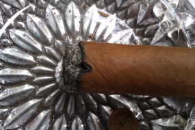 Te-Amo World Selection Series Robusto Dominicana