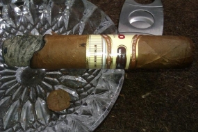 Te-Amo World Selection Series Robusto Dominicana