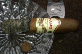 Te-Amo World Selection Series Robusto Dominicana