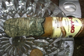 Te-Amo World Selection Series Robusto Dominicana