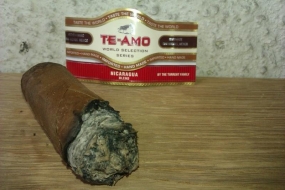 Te-Amo World Selection Series Robusto Nicaragua
